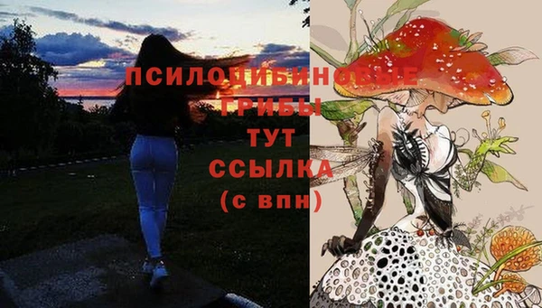 ешки Алексеевка