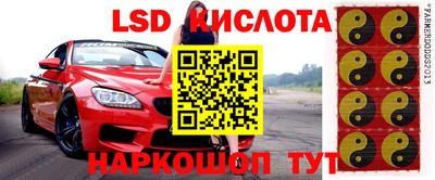 индика Ирбит