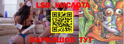 индика Ирбит