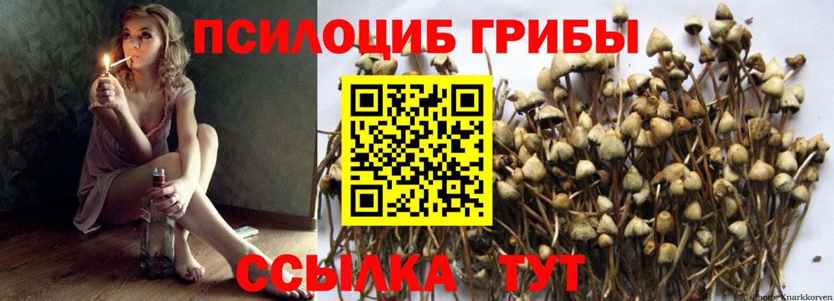 Псилоцибиновые грибы MAGIC MUSHROOMS Лысьва